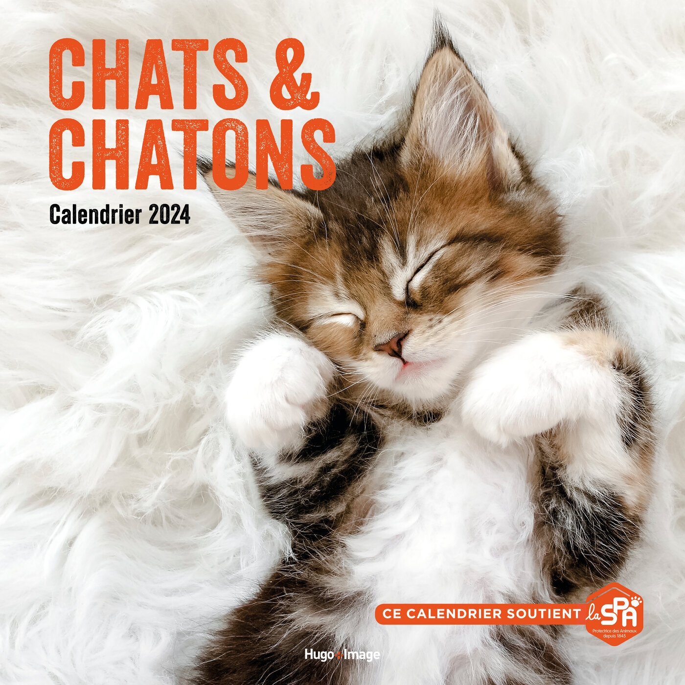 Calendrier mural chats et chatons 2024 Hugo Publishing