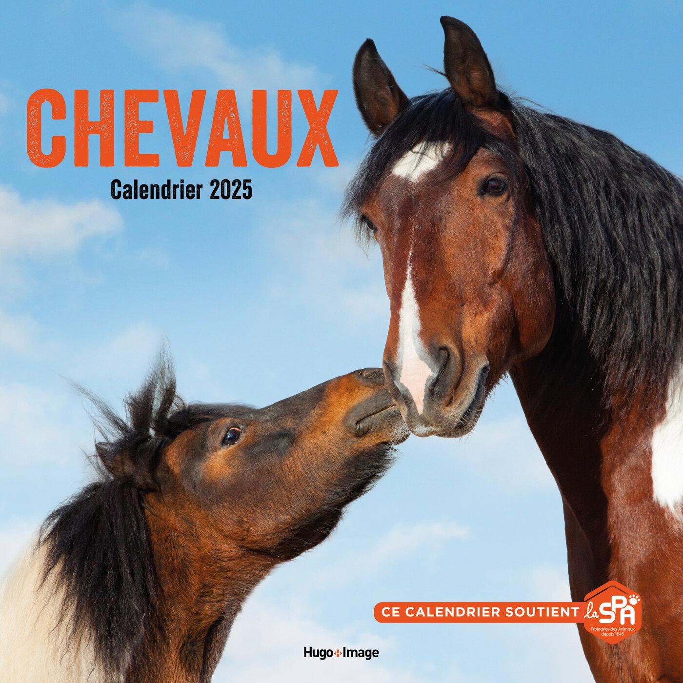 Calendrier mural chevaux 2025 Hugo Publishing