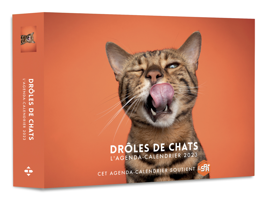 Agenda - Calendrier Drôles de chats 2023 - Hugo Publishing