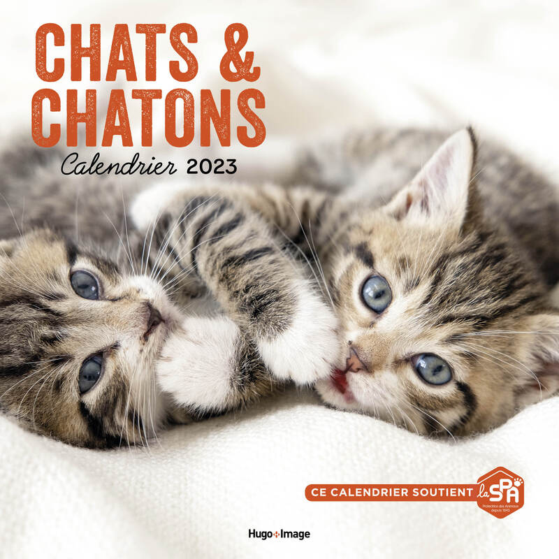 Calendrier Mural Chats et Chatons 2023 - Hugo Publishing